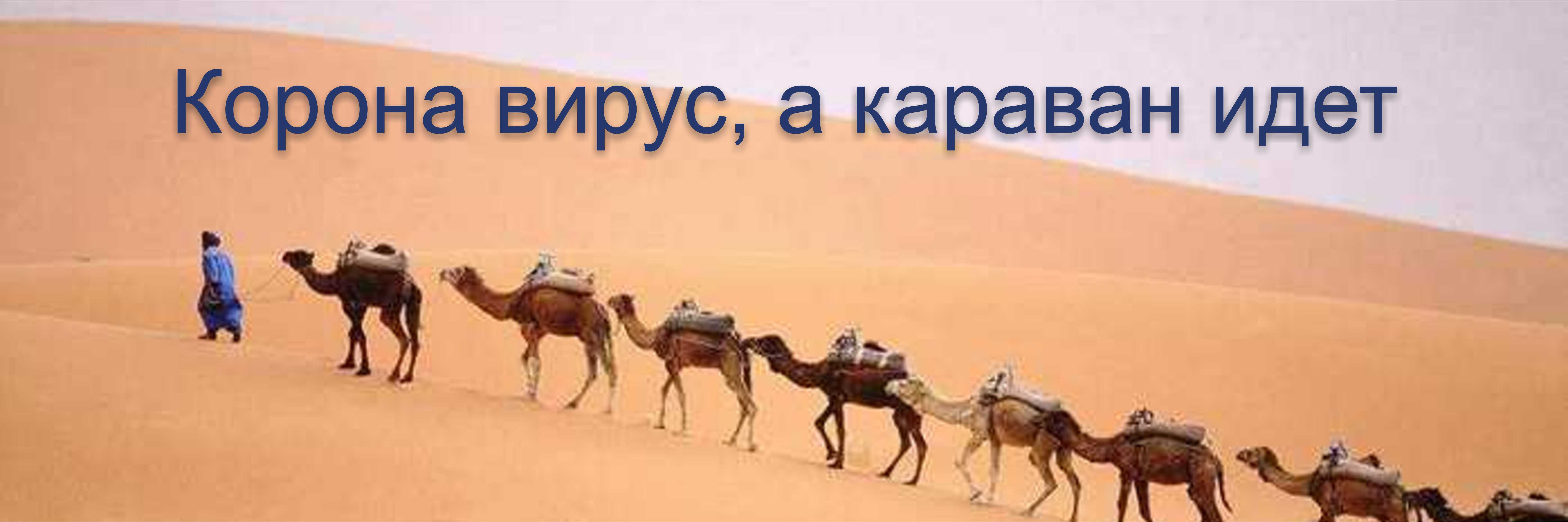 Собаки лают караван идет лайте собаки. Караван идет. Собака лает Караван идет фото. Волки воют Караван идет. Собака лает Караван верблюд идиот.